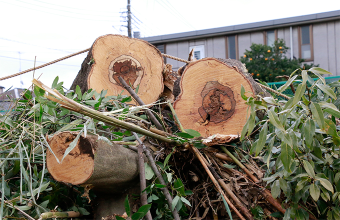 その他 樹木伐採・造成・残土スキ取り など